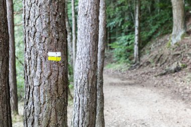 Yol hiking Tarih biçimlendirme