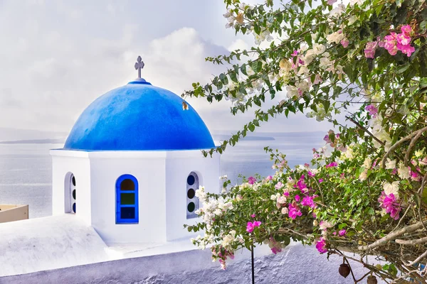 Bougainvillea framför en blå kupol i Oía — Stockfoto