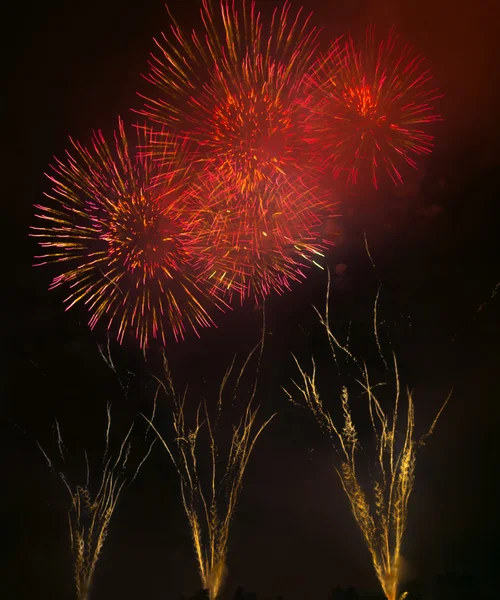 Focuri de artificii de vacanță pe cer — Fotografie, imagine de stoc