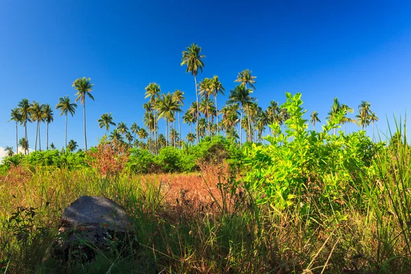 Beleza panorâmica da ilha — Fotografia de Stock