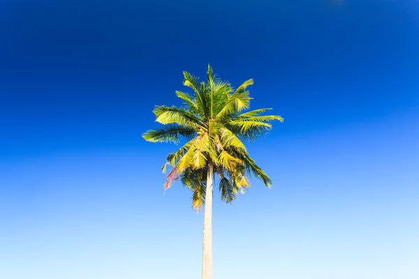 Adası'nın panoramik güzelliği