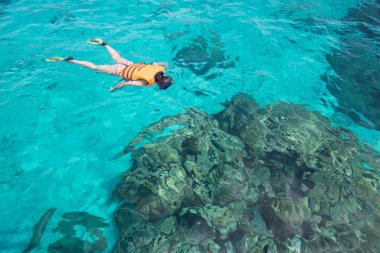 Kadın snorkling Similan Adası'nda. Andaman Denizi Tayland, büyük balıklar ve mercan bol keşfedin