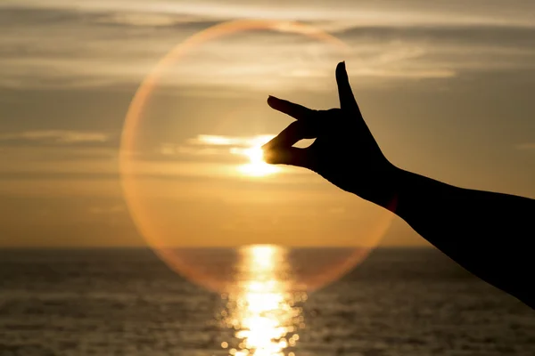 Silhouet van de handen als de hond op de prachtige zonsondergang of zonsopgang en — Stockfoto