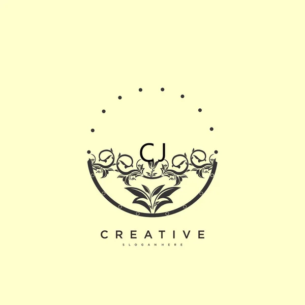 Beauty Vector Eerste Logo Kunst Handschrift Logo Van Eerste Handtekening — Stockvector