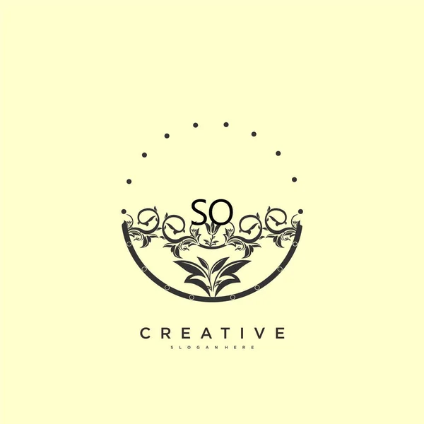 Beauty Vector Logo Inicial Diseño Arte Logotipo Escritura Mano Firma — Vector de stock