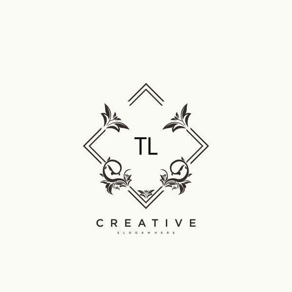 Beauty Vector Initial Logo Handwriting Logo Art Design Initial Signature — Stock Vector