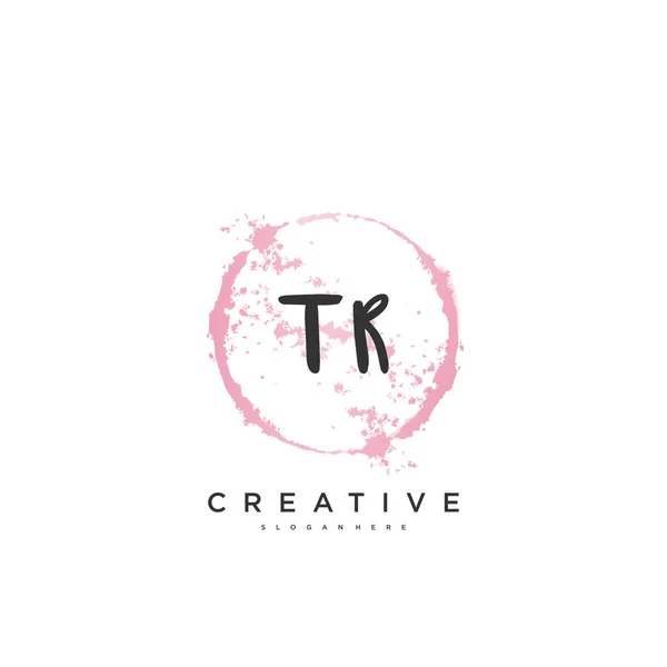 Beauty Vektor Initiallogo Handschrift Logo Art Design Der Initialen Unterschrift — Stockvektor