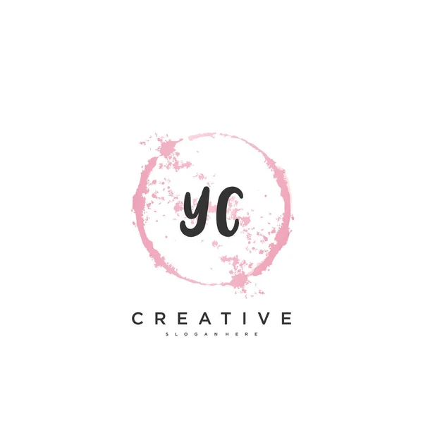 Beauty Vector Initial Logo Handwriting Logo Art Design Initial Signature — 图库矢量图片