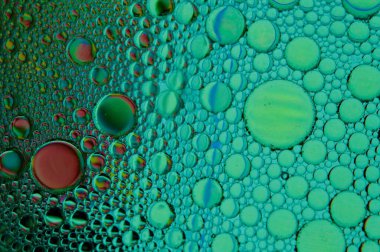 Oil globules and bubbles creating an abstract pattern in green and teal liquid
