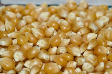Kuru patlamış mısır çekirdekleri, patlamaya hazır bir doku arkaplanı oluşturuyor