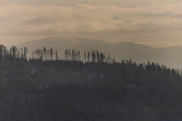 Фото Hrobacza Meadow Pol Гробача Меджибродзе Белские Зимой Взяты Горы — стоковое фото
