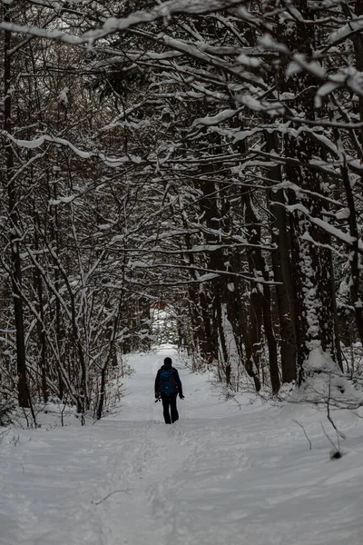 Фото Человека Тропе Лесу Зимнее Время Свежим Сно — стоковое фото