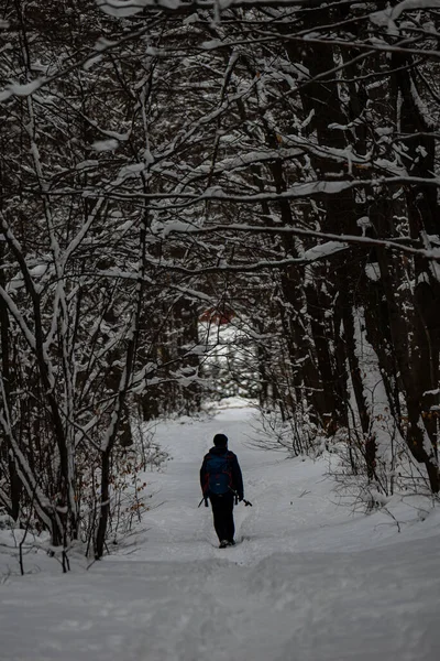 Photo of Man on th path in the forest at wintertime with fresh sno