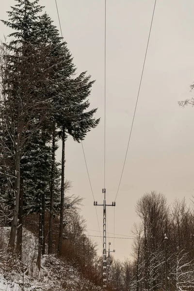 Foto Inverno Montagna Polacca Albero Coperto Neve Fresca — Foto Stock