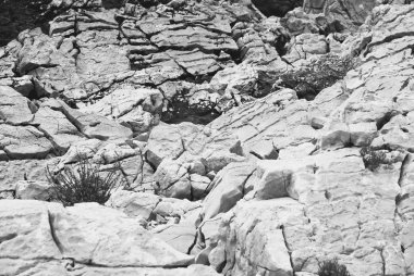 taş duvar backgrond