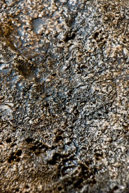 taş duvar backgrond