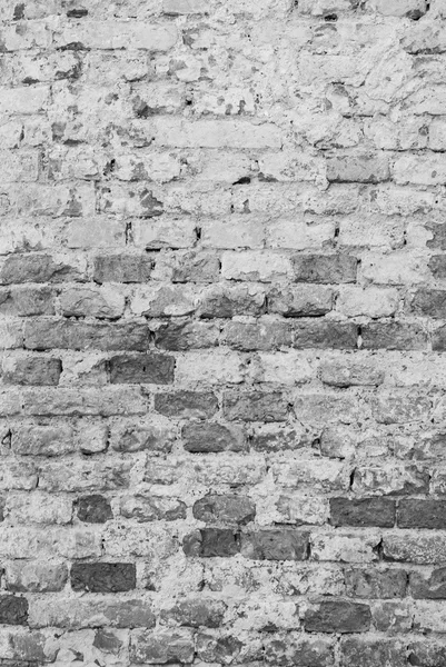 Кирпичная стена - фон — стоковое фото