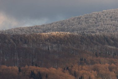 Güneşli altın ağaçlar ve karamsar bir gökyüzünün altındaki buzla kaplı dağlar arasında çarpıcı bir kontrastla, katmanlı orman tepelerinin yer aldığı nefes kesici kış manzarası..