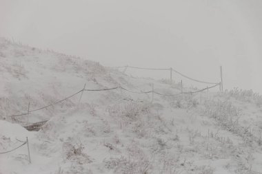 Derin kar ve buzla kaplı bir dağ yürüyüşü yolunun minimalist kış sahnesi, kalın beyaz sislerin arasında yol gösteren donmuş halat çitleri. Smerek, Bieszczady Ulusal Parkı, Polonya.