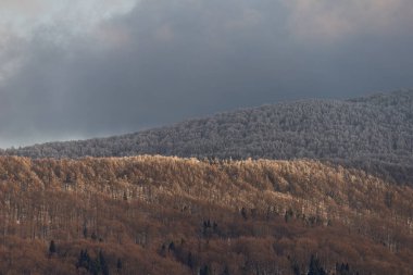 Güneşli altın ağaçlar ve karamsar bir gökyüzünün altındaki buzla kaplı dağlar arasında çarpıcı bir kontrastla, katmanlı orman tepelerinin yer aldığı nefes kesici kış manzarası..