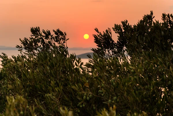 Coucher de soleil sur les îles Kornati — Photo