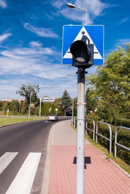 Zebra uyarı ışığı ile şehirde fotoğrafı