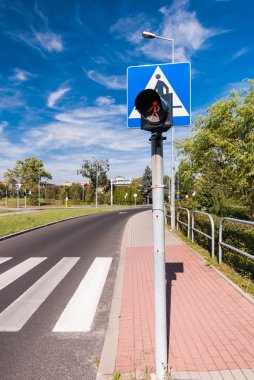 Zebra uyarı ışığı ile şehirde fotoğrafı