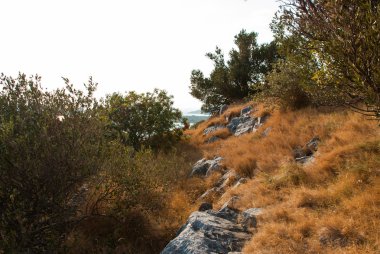 Hırvatistan'daki taş yol