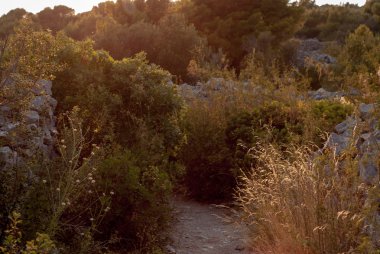 Hırvatistan'daki taş yol