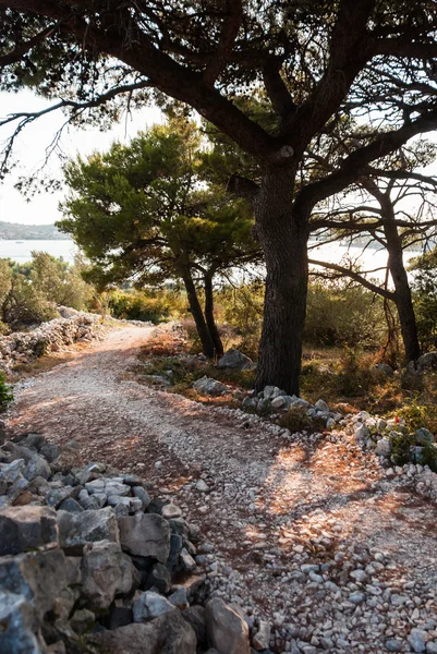 Camino de piedra en Croacia — Foto de Stock