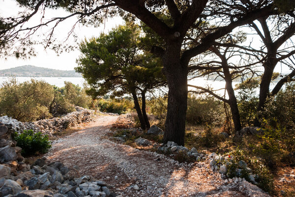 Stone path in Croatia