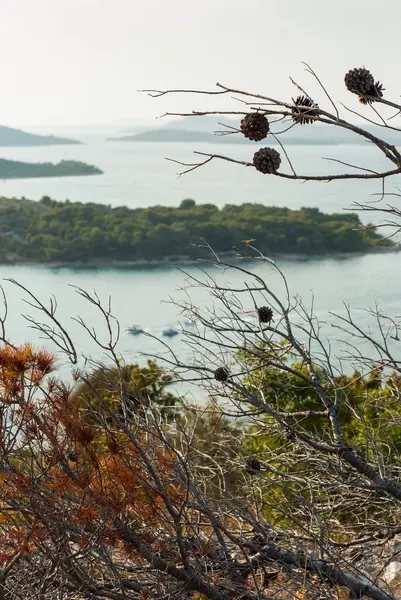 Strände der Murter Inseln, dalmatien kroatien — Stockfoto