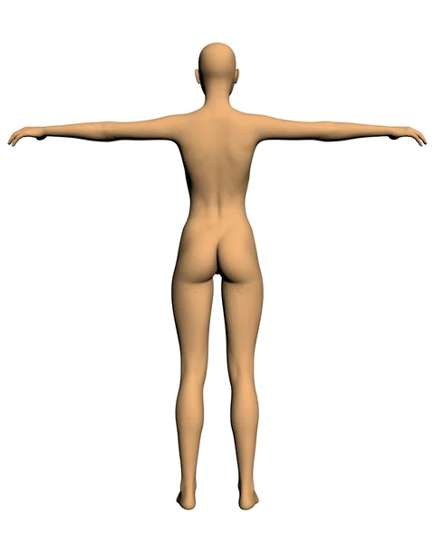 Kadın gerçekçi vektör