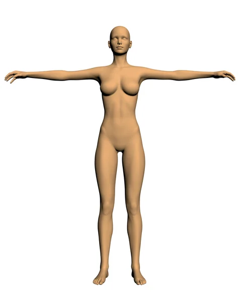 Kadın gerçekçi vektör