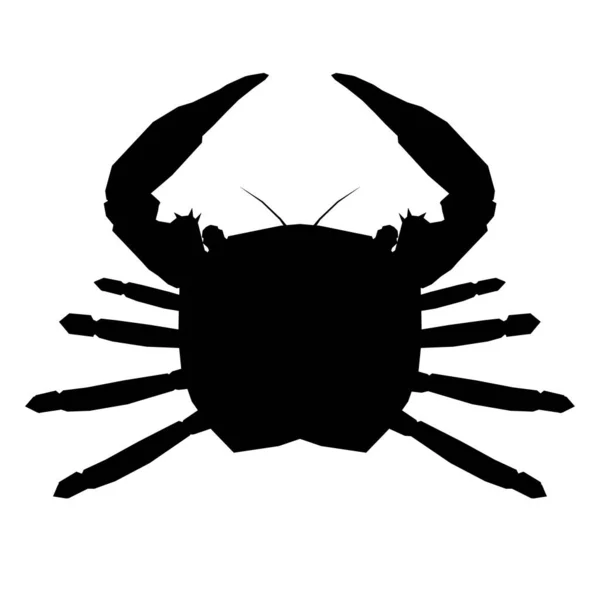 Silhouet van een krab op een witte achtergrond. Zicht van bovenaf. Vectorillustratie — Stockvector