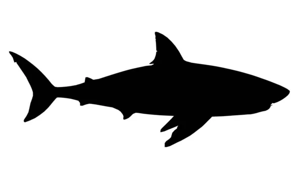 Shark silhouette on a white background. Side view. Vector illustration — Stock Vector