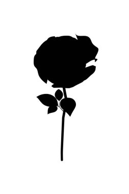 Beyaz arka planda izole gül silueti. Vektör illüstrasyonu