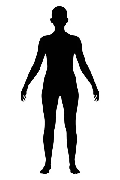 Siluet seorang gadis telanjang terisolasi pada latar belakang putih. Pemandangan depan. Ilustrasi vektor - Stok Vektor