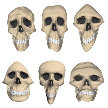 Çarpık kafatası karikatürleriyle dolu. Üç boyutlu. Vektör illüstrasyonu