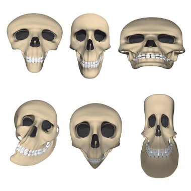 Çarpık kafatası karikatürleriyle dolu. Üç boyutlu. Vektör illüstrasyonu