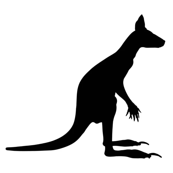 Kangaroo silhouette isolated on white background. Side view. Vector illustration — Stock Vector