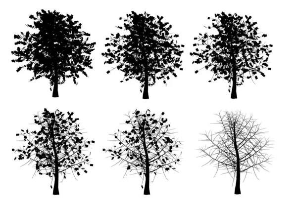 Yılın farklı mevsimlerinde beyaz bir arkaplanda izole edilmiş bir ağaç silueti ile ayarlandı. Vektör illüstrasyonu — Stok Vektör