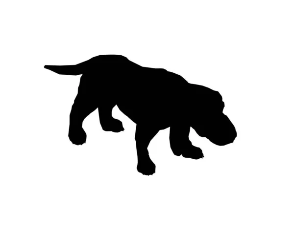 Silhouette de chien isolée sur fond blanc. Illustration vectorielle — Image vectorielle