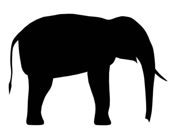 Valkoisella pohjalla eristetyn norsun siluetti. Vektoriesimerkki — vektorikuva