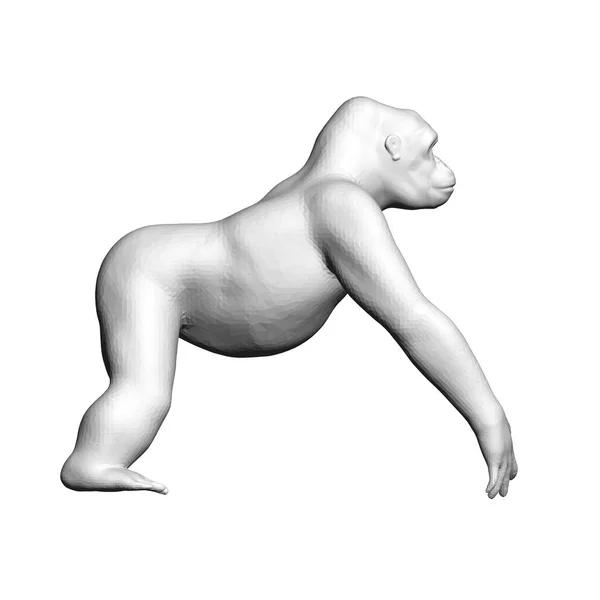 Modèle gorille polygonal isolé sur fond blanc. 3D. Vue latérale. Illustration vectorielle — Image vectorielle