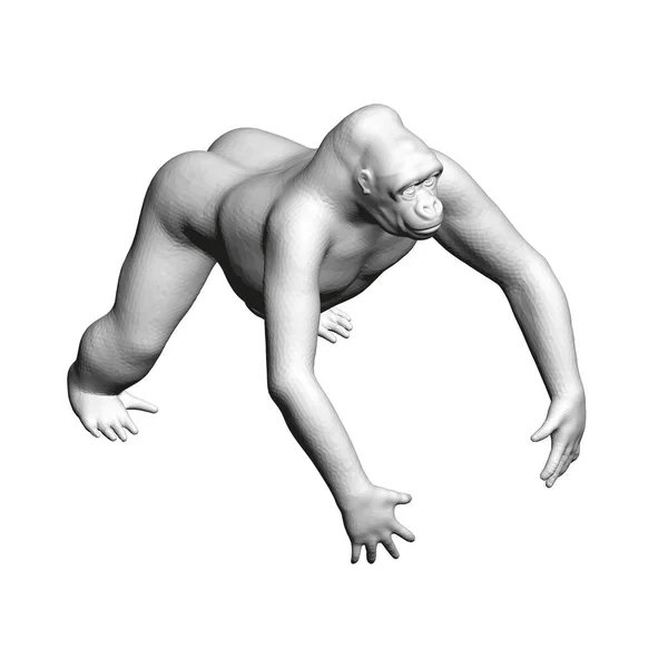 Modelo de gorila poligonal isolado em fundo branco. 3D. Vista isométrica. Ilustração vetorial — Vetor de Stock