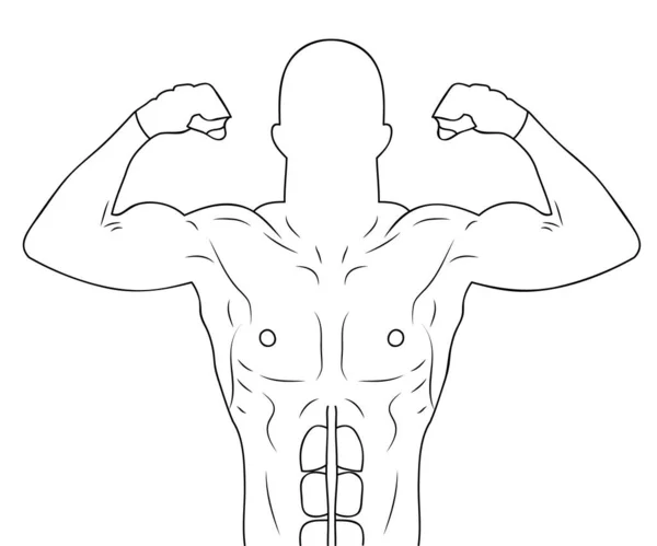 Contour van een abstracte mannelijke atleet die pronkt met zijn spieren. Vectorillustratie — Stockvector