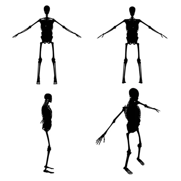 Set mit Silhouetten eines menschlichen Skeletts mit inneren Organen in verschiedenen Positionen isoliert auf weißem Hintergrund. Vektorillustration — Stockvektor