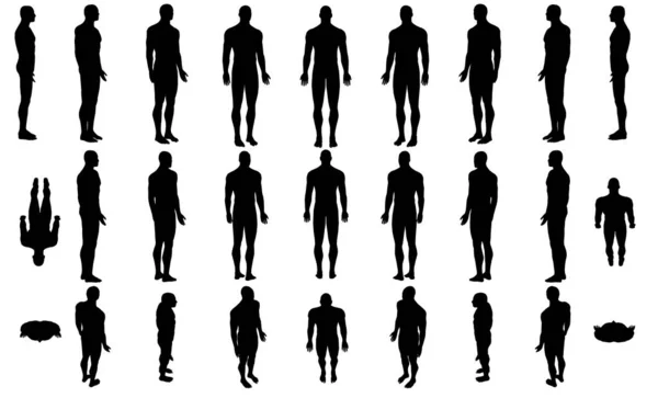 Set with silhouettes of a body of a man in different positions isolated on a white background. Vector illustration — Stock Vector