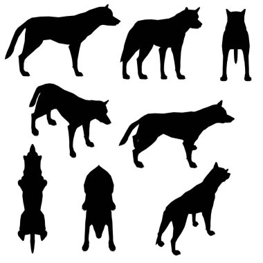 Beyaz arka planda izole edilmiş farklı pozisyonlardaki bir köpeğin siluetleriyle kurulmuş. Vektör illüstrasyonu